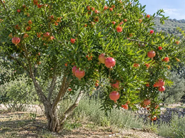 Ilustración generada con IA de Granada